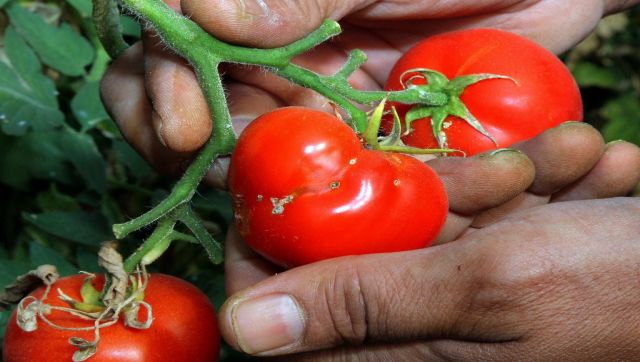 British Shoppers Turn to Wonky Vegetables as Food Price Inflation