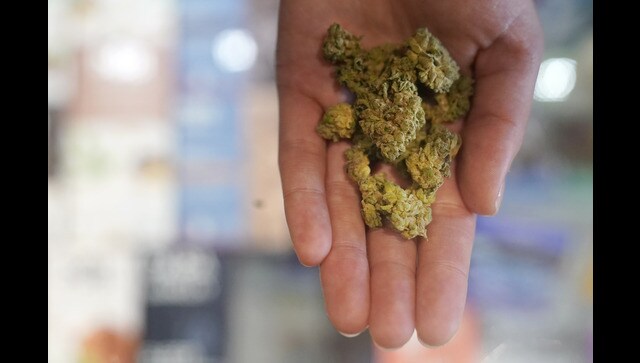 Slow start to New York's legal pot market leaves farmers holding the bag
