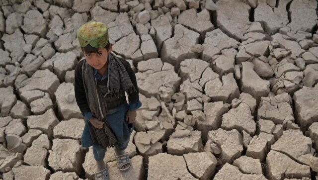 افغانستان: در بحبوحه خشکسالی شدید، کشاورزان افغان در ترس کاهش عملکرد محصول را دارند