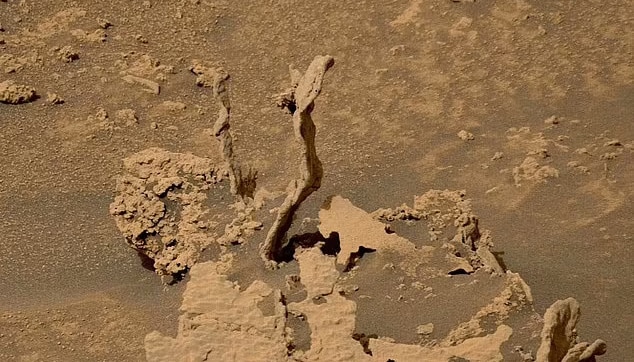 حیات ماقبل تاریخی در مریخ مریخ نورد کنجکاوی ناسا یک سنگ استخوان مانند عجیب را در سیاره سرخ مشاهده کرد