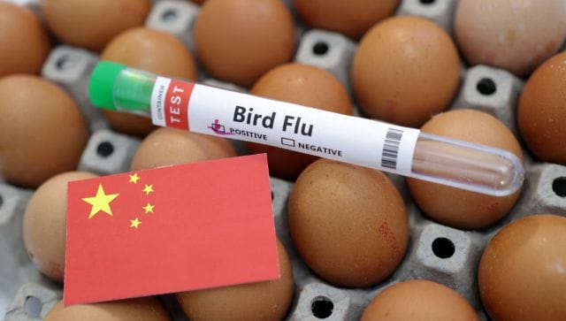 آیا اولین مرگ انسان در جهان بر اثر آنفولانزای پرندگان H3N8 در بازار مرطوب چین به ویروس مبتلا شد؟