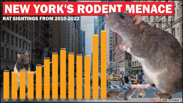 کنترل آفات شهر نیویورک اولین تزار موش خود را با 155000 سال در سال دریافت می کند برنامه اقدام او چیست؟