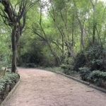 Pink Parks: Delhi to soon get 250 parks where men WON'T be allowed 
