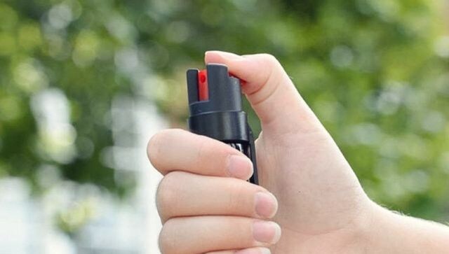US teen pepper-sprays teacher after he confiscates her phone for Googling answers for school work