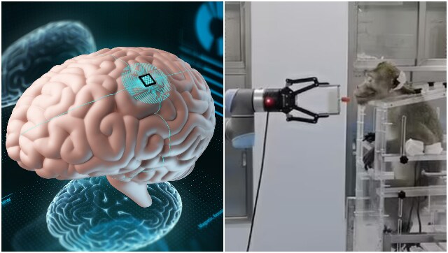 Telepathic Apes: China develops brain chip that lets monkeys control robots in major breakthrough