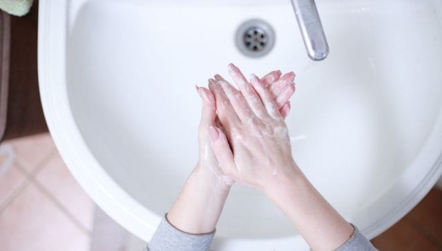 soaps mosquitoes 