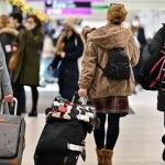 Why France will soon pay its citizens to get their clothes repaired