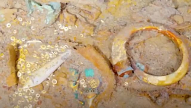 گردنبند دندان کوسه مگالودون در لاشه کشتی تایتانیک پیدا شد