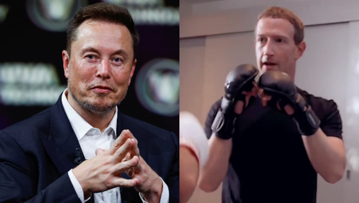 Elon Musk, Mark Zuckerberg start training for proposed 'cage match