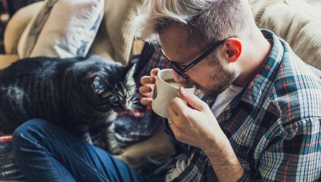 coffee