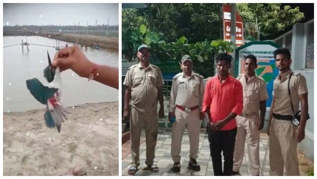 WATCH: Odisha man posts cruel act of torturing Kingfisher bird on Instagram, arrested after clip goes viral