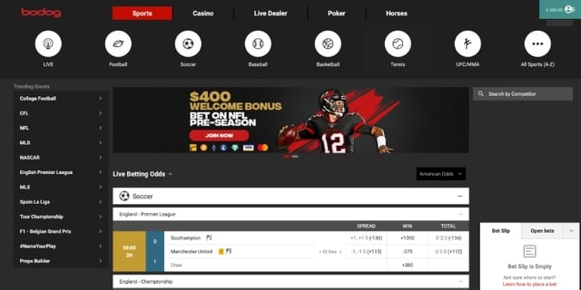 Best NFL Betting Sites in Canada  Top Canadian NFL Sportsbooks Online for  2023