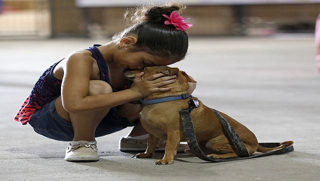 Poop Patrol: Why a French town is introducing DNA testing for dogs ...