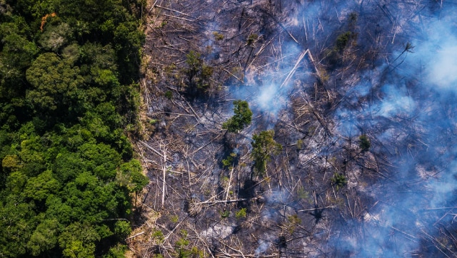 NASA steps in to help Brazil fight Amazon deforestation