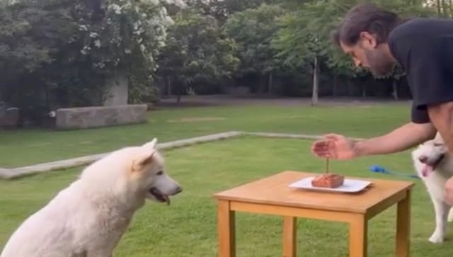 Watch: MS Dhoni cuts birthday cake in his Ranchi farmhouse with the presence of his pet dogs