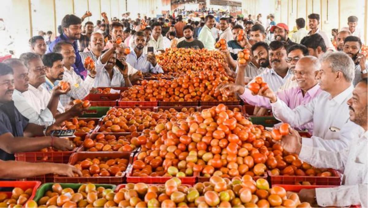 Rising prices: Why India is in tomato trouble again