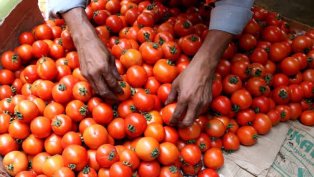 Red-faced: How customs 'lost' 3 tonnes of tomatoes smuggled into India via  Nepal