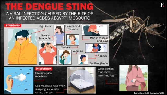 Spike in dengue cases in India: How bad is it? – Firstpost