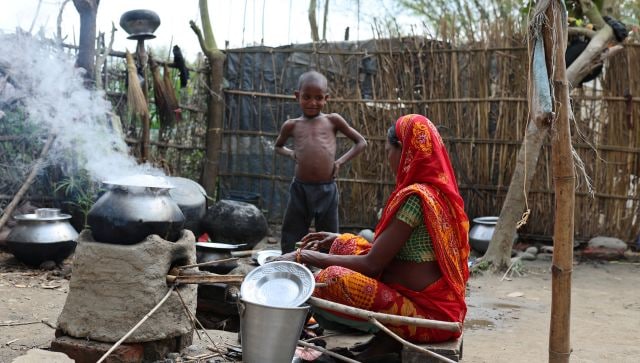 cooking fuel in India