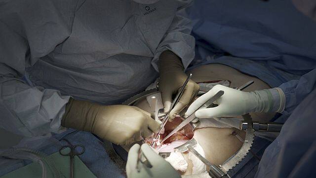 Pigs kidney works in human body for a month. Why this is significant