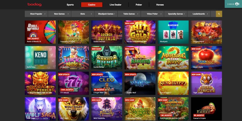 Best Online Casinos Canada Canadian Casino Sites with 2k Bonuses  Big Wins Update