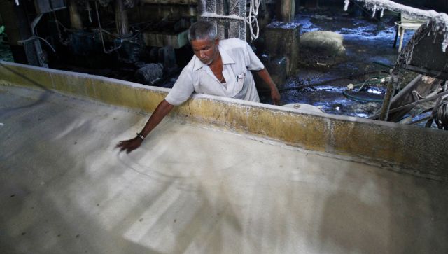 india sugar ban export