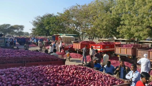 india onion prices