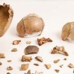 When ancient Europeans ate the dead at funerals