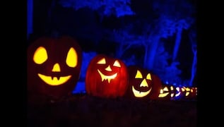 Halloween 2022: Learn about festival's history and origins - The Economic  Times