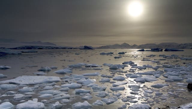 antartica