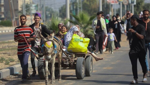 gaza