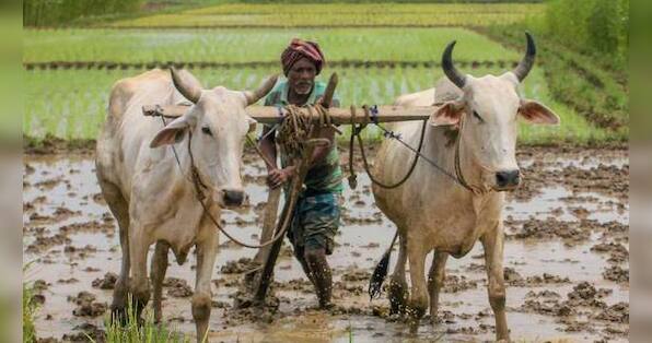 Climate-proofing agriculture: The vital role of smallholder farmers in India