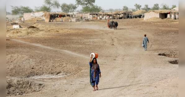 Pakistan: Pollution forces closures of businesses, schools in Lahore