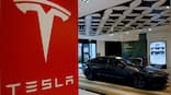 What's the point in buying self-driving Tesla? Musk's EV giant pins brunt of crash on driver