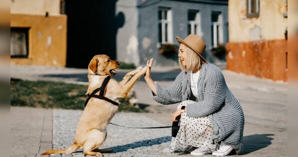 Small joys: Why you need you find your glimmer