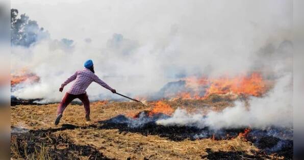What is regenerative agriculture? Is it the answer to stubble burning?
