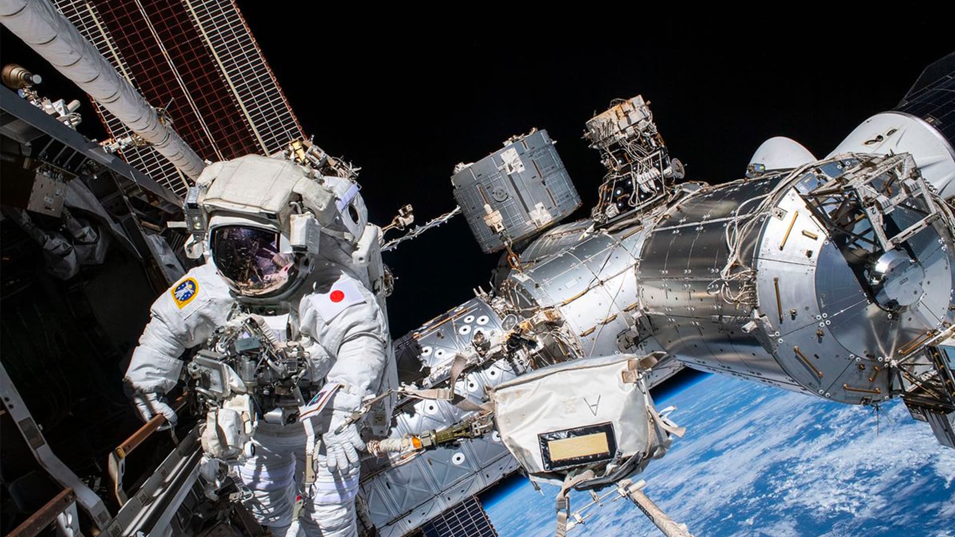 Hale & Hearty: دانشمندان “غذای فضایی” عالی را برای گردشگران فضایی طولانی مدت، فضانوردان برنامه ریزی می کنند.