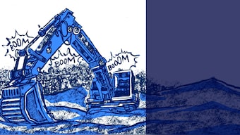 The elephant in the room: A graphic narrative on coal mining in the Hasdeo forest