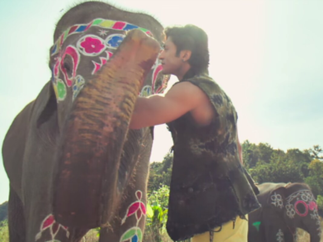 Junglee Box Office Collection Vidyut Jammwal S Action Adventure Rakes In Rs 2 40 Cr On Day 4 Entertainment News Firstpost Bollywood hungama » news » box office special features. junglee box office collection vidyut