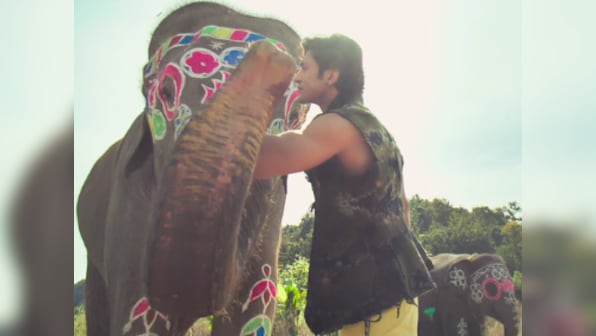 Junglee teaser: Vidyut Jamwal's upcoming action thriller is a unique tale of a bond between man and elephant