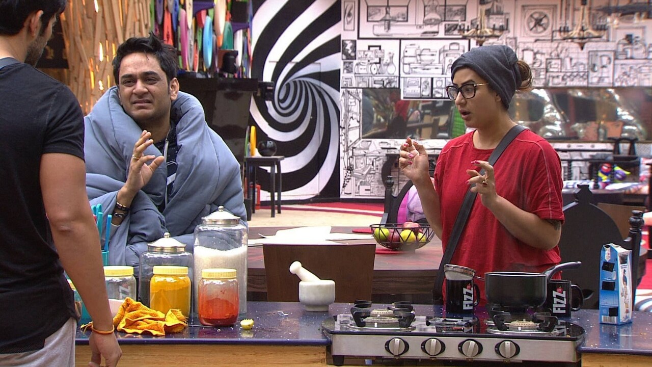 Vikas Gupta and Shilpa Shinde in Bigg Boss season 11. Image via Facebook
