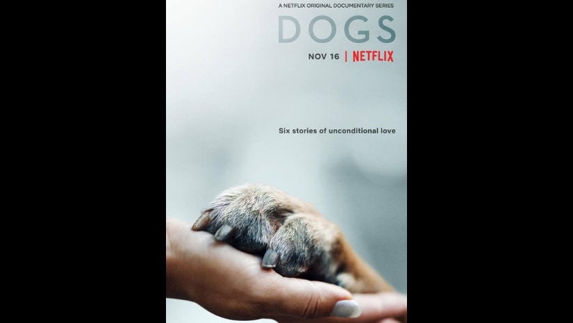 Dogs poster. Image from Facebook