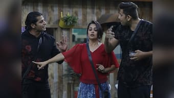 Bigg Boss 12: What's this season of popular reality show missing? Former contestants weigh in