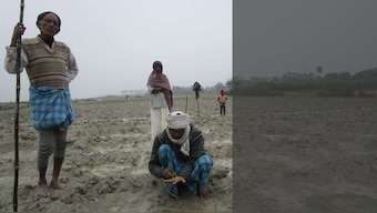In Bihar, along the Gandak, silt cultivation offers landless farmers a scanty sustenance