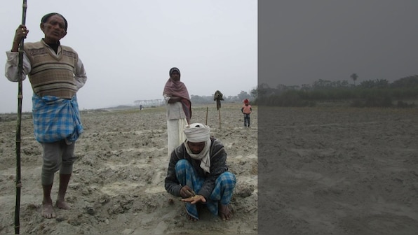 In Bihar, along the Gandak, silt cultivation offers landless farmers a scanty sustenance