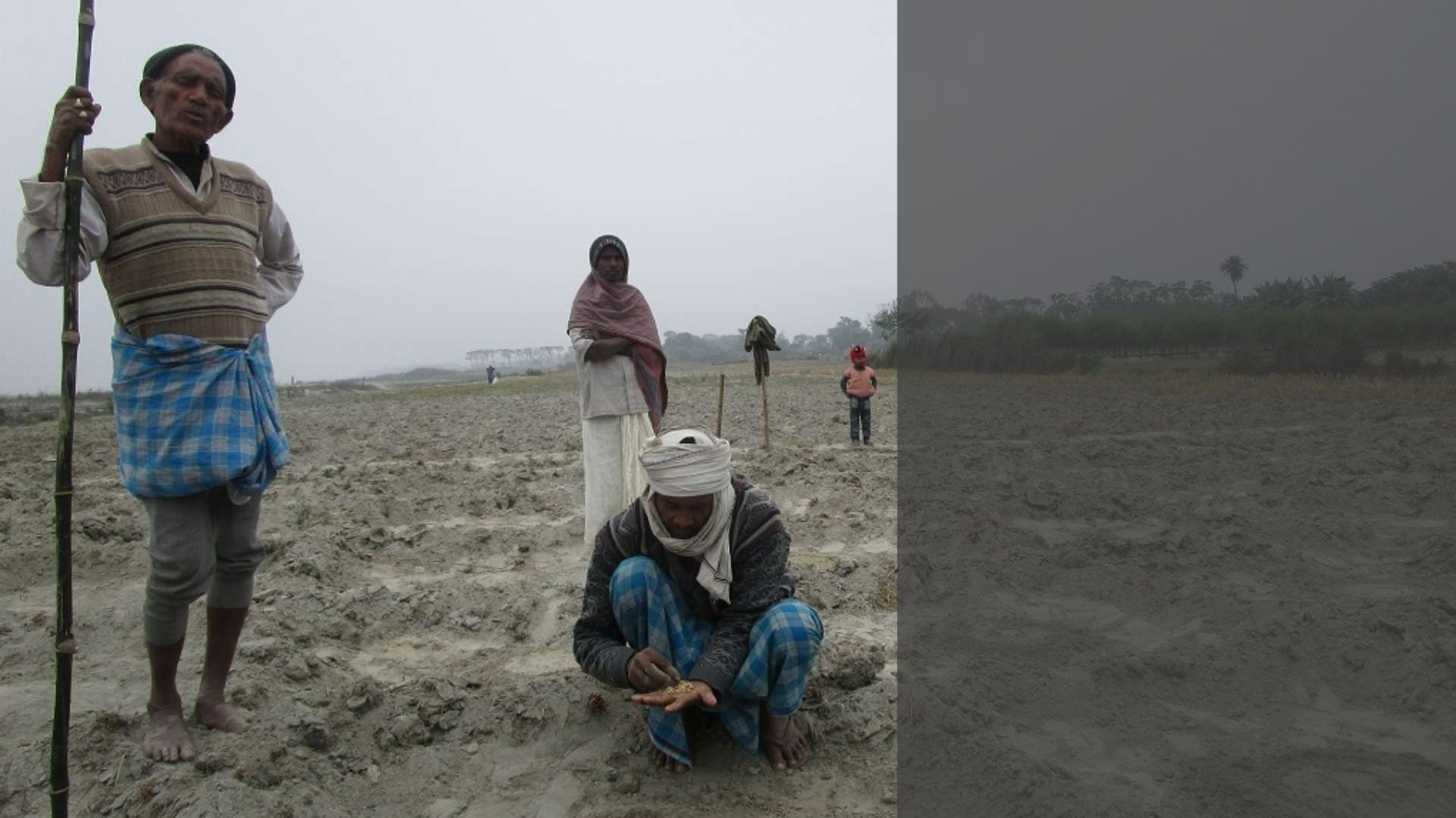 In Bihar, along the Gandak, silt cultivation offers landless farmers a scanty sustenance In Bihar, along the Gandak, silt cultivation offers landless farmers a scanty sustenance