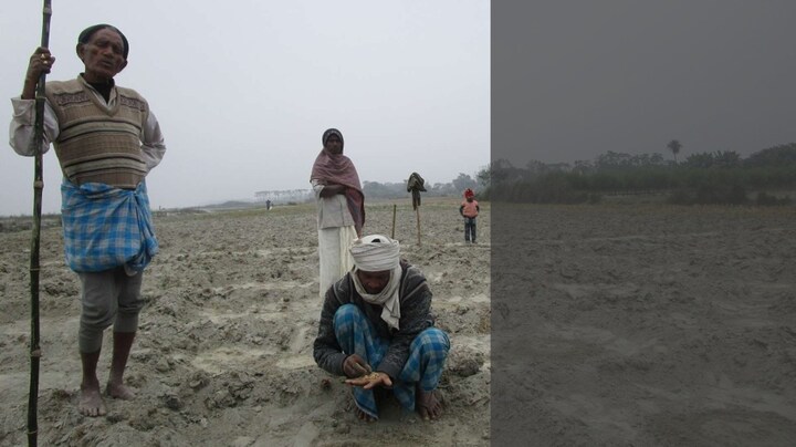 In Bihar, along the Gandak, silt cultivation offers landless farmers a scanty sustenance