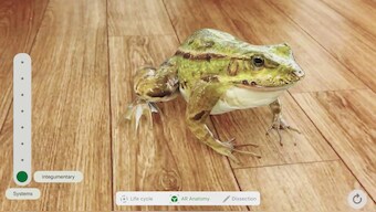 Indian app Froggipedia becomes the iPad App of the Year says Apple