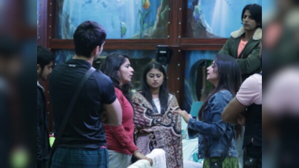 Bigg Boss 12, 12 December, Day 87 written updates: Sreesanth, Romil challenge each other for the trophy