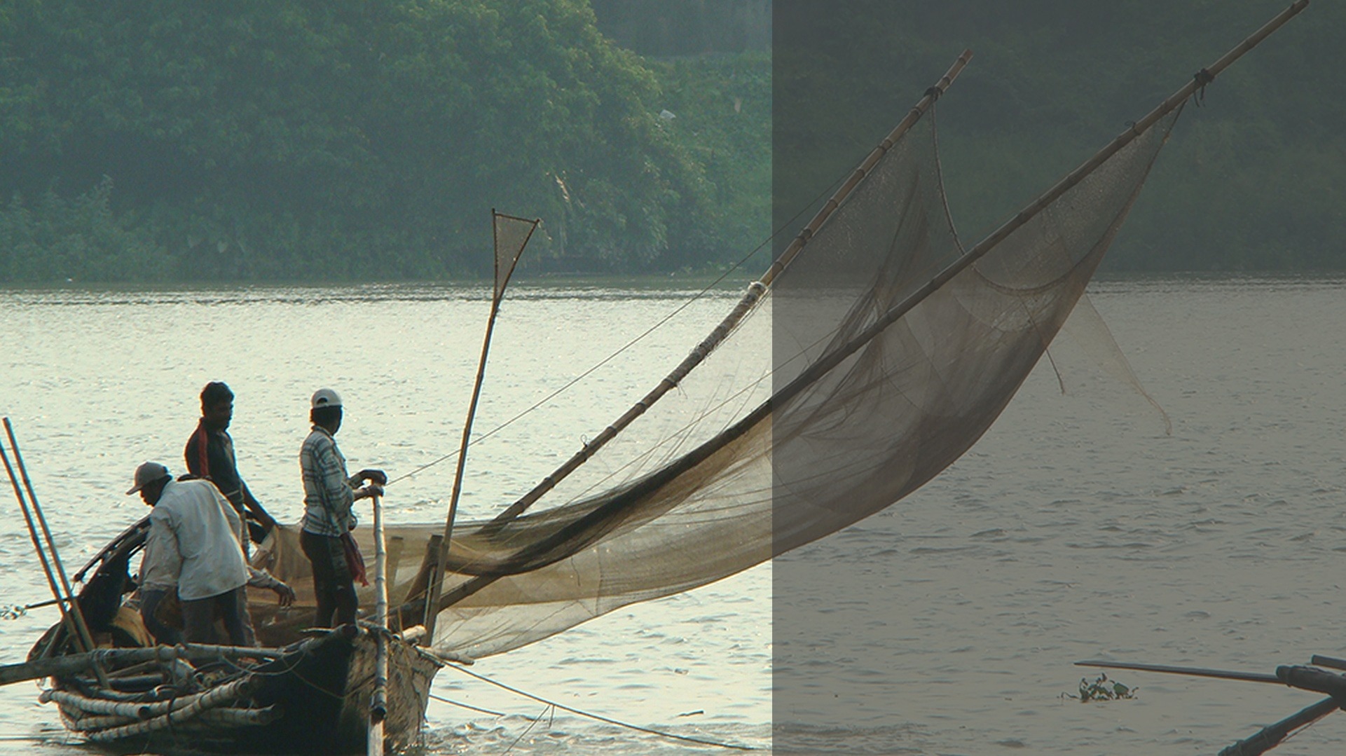 Bengal's favourite fish, the hilsa, could soon be extinct as fishing trawlers flout laws Bengal's favourite fish, the hilsa, could soon be extinct as fishing trawlers flout laws